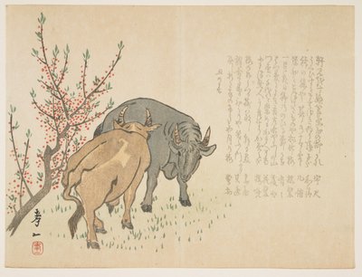 Ochsen, Januar 1853 von Yoshimura Kiitsu